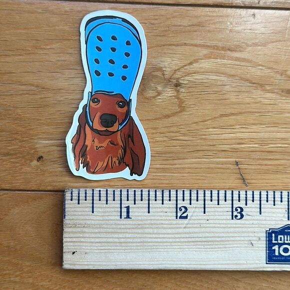 Adorable dog with Crock shoe on head as a hat blue footwear golden retriever - Picture 2 of 4